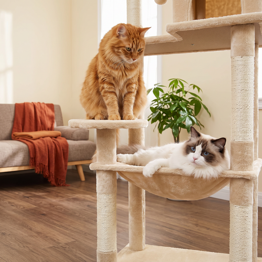 Beige tall narrow 5-level cat tree with hammock, condo and top perch in a small apartment — in use