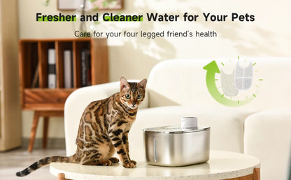 Stainless Water Fountain Filters 8-Pack