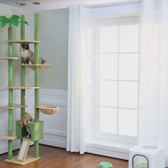 Cats climbing, scratching and napping on the green cactus floor-to-ceiling cat tree