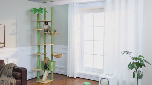 Cats climbing, scratching and napping on the green cactus floor-to-ceiling cat tree